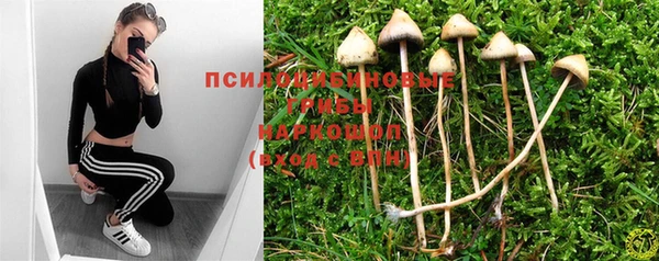 гидра Майский