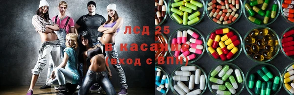 гидра Майский