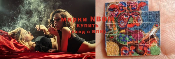 сатива Бабаево