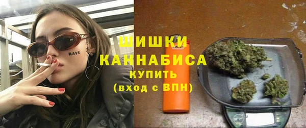 гидра Майский