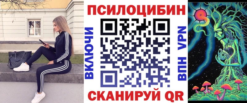 Купить закладки Дубна Галлюциногенные грибы Psilocybine cubensis